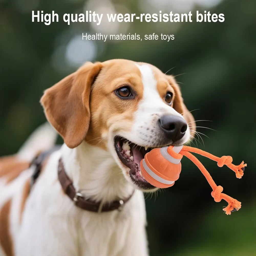 Rechargeable Interactive Automatic Rolling Toy for Cats and Dogs with Faux Tail - Electric Training Device Simulating Mouse Behavior