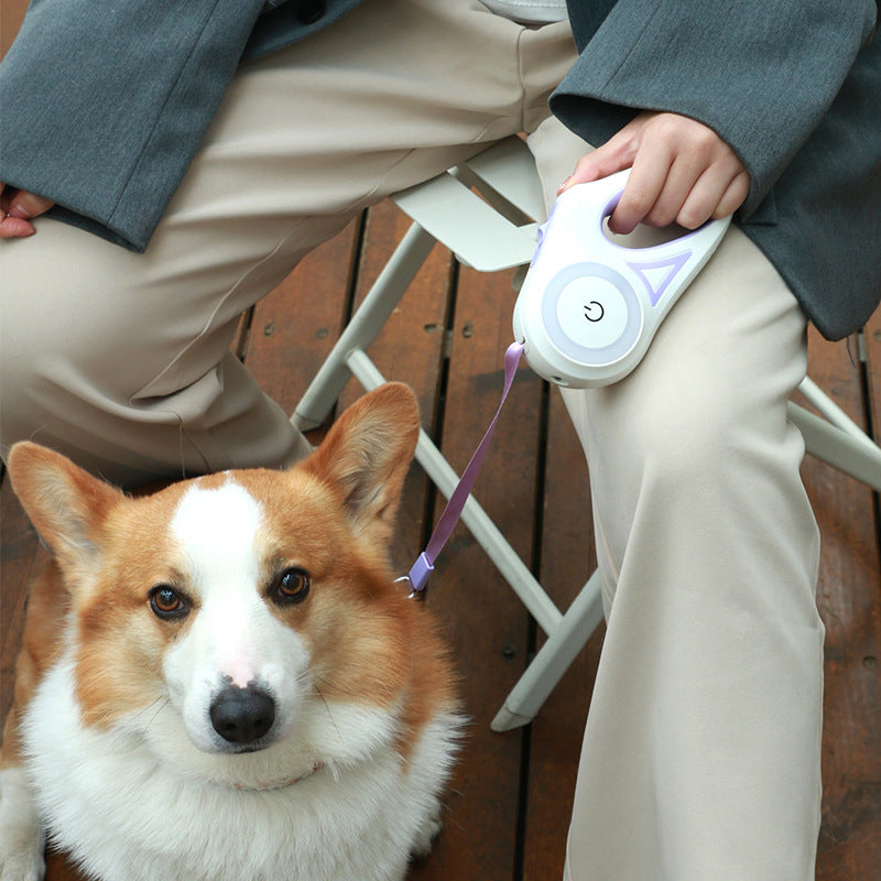 Retractable Dog Leash and Collar Set with Automatic Tension Control for Small to Medium Breeds