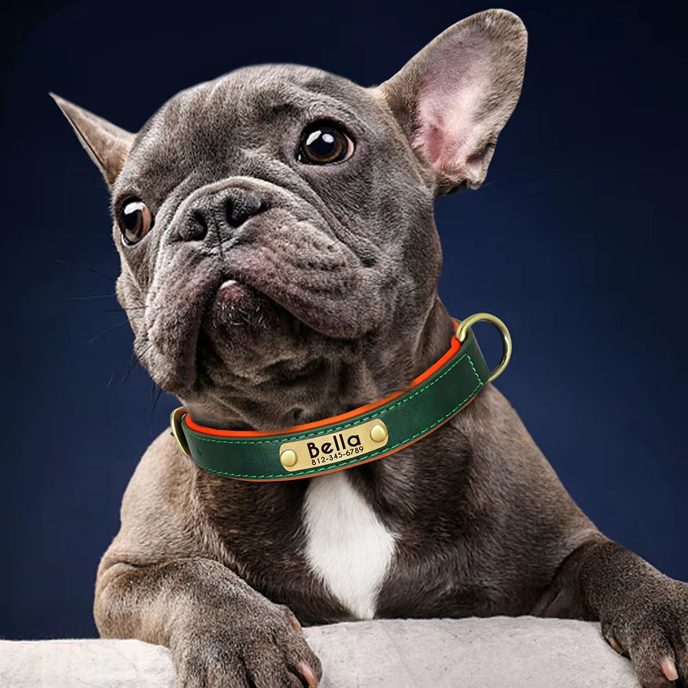 Customizable PU Leather Dog Collar with Padded Comfort and Complimentary Engraving for All Dog Sizes – Adjustable Design