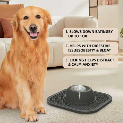Pawlove Anti-Slip Slow Feeder Dog Bowl for Liquid Treats with Entertained Ball-In Design, Ideal for Bone Broth and Yogurt, Suitable for All Breeds - Dietary Supplement and Post-Op Nutrition Tool