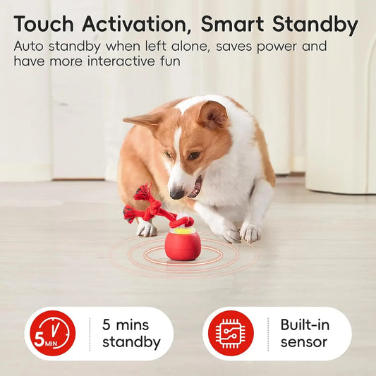 Potaroma Touch-Activated Rechargeable Interactive Dog Ball Toy with Rope, Squeaky Moving Ball for Medium and Small Dogs, Dark Red