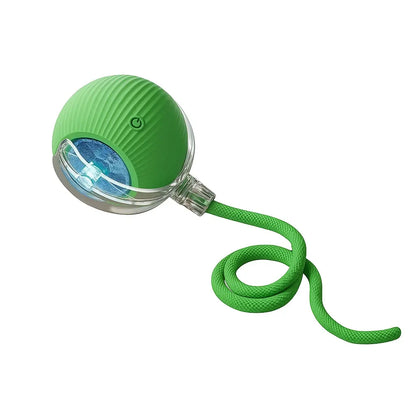 Mizusu Interactive Teaser Toy for Cats and Dogs, Includes Two Additional Tails and Rolling Ball, Premium Pet Supplies and Accessories