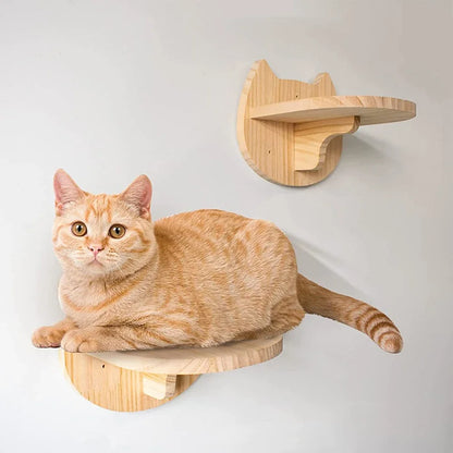 Multi-Level Cat Wall Climbing Shelf and Scratching Post with Enclosed Hiding House