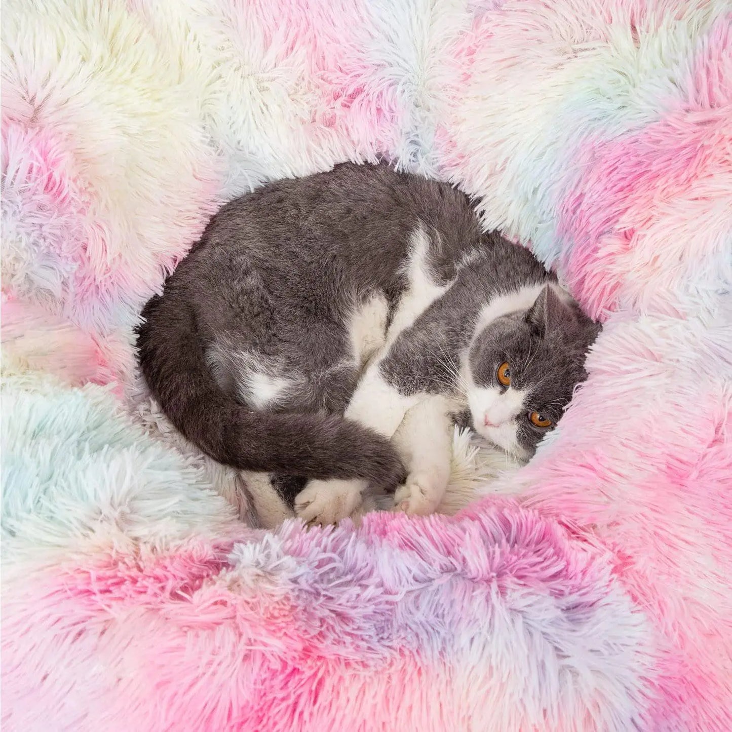Premium Dual-Function Plush Cat Tunnel Bed with Cozy Donut Design, Enclosed Hideaway Play Area, and Non-Slip Base, Ideal for Multi-Cat Households