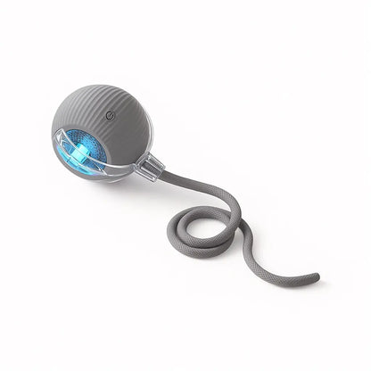 Mizusu Interactive Teaser Toy for Cats and Dogs, Includes Two Additional Tails and Rolling Ball, Premium Pet Supplies and Accessories