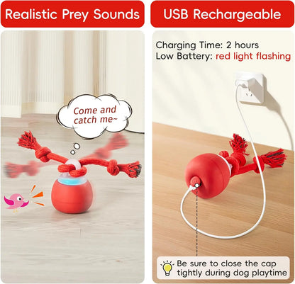 Potaroma Touch-Activated Rechargeable Interactive Dog Ball Toy with Rope, Squeaky Moving Ball for Medium and Small Dogs, Dark Red