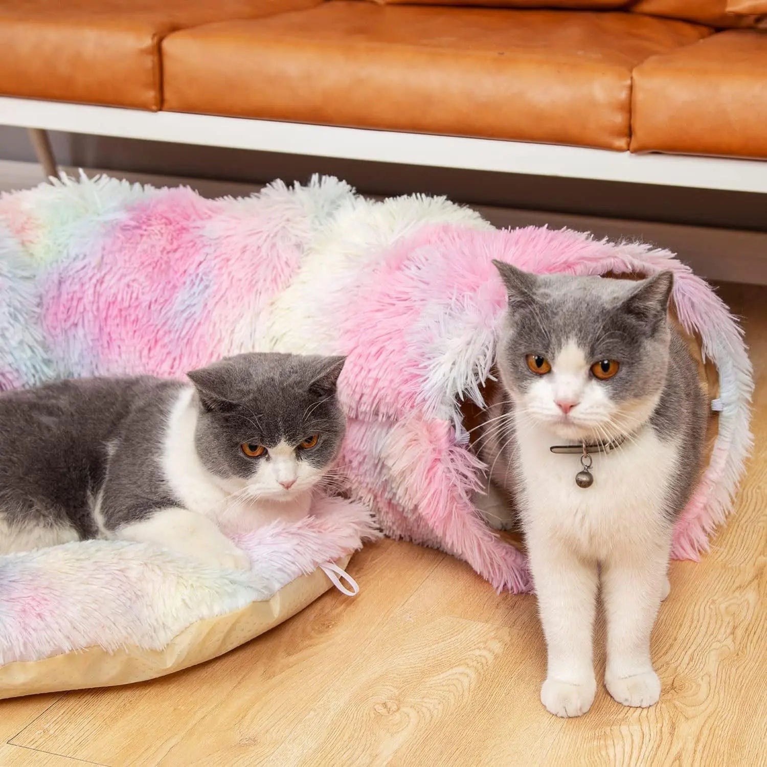Premium Dual-Function Plush Cat Tunnel Bed with Cozy Donut Design, Enclosed Hideaway Play Area, and Non-Slip Base, Ideal for Multi-Cat Households