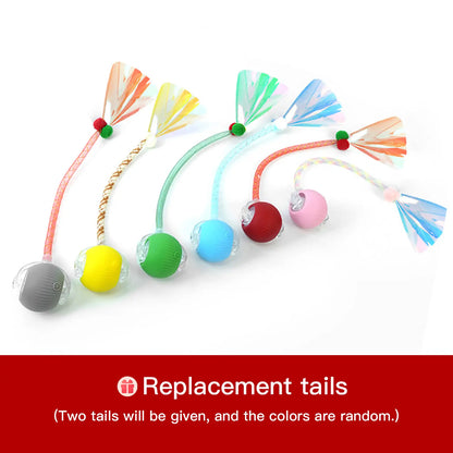 Mizusu Interactive Teaser Toy for Cats and Dogs, Includes Two Additional Tails and Rolling Ball, Premium Pet Supplies and Accessories