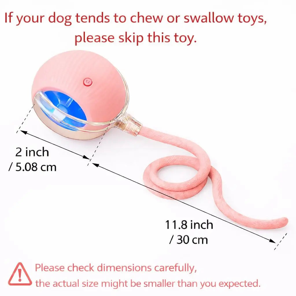 Mizusu Interactive Teaser Toy for Cats and Dogs, Includes Two Additional Tails and Rolling Ball, Premium Pet Supplies and Accessories