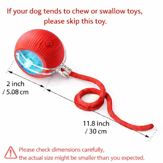 Mizusu Interactive Teaser Toy for Cats and Dogs, Includes Two Additional Tails and Rolling Ball, Premium Pet Supplies and Accessories