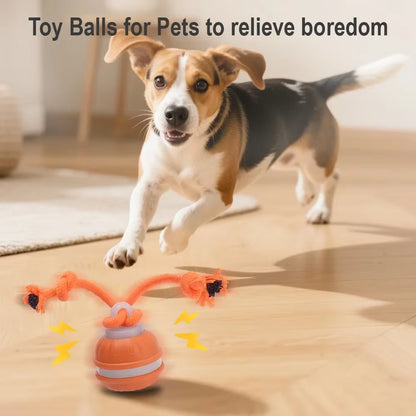 Rechargeable Interactive Automatic Rolling Toy for Cats and Dogs with Faux Tail - Electric Training Device Simulating Mouse Behavior