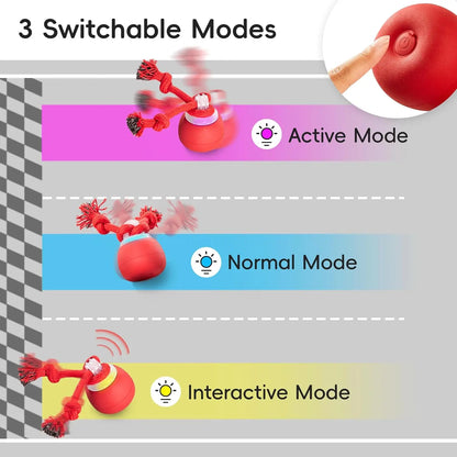 Potaroma Touch-Activated Rechargeable Interactive Dog Ball Toy with Rope, Squeaky Moving Ball for Medium and Small Dogs, Dark Red