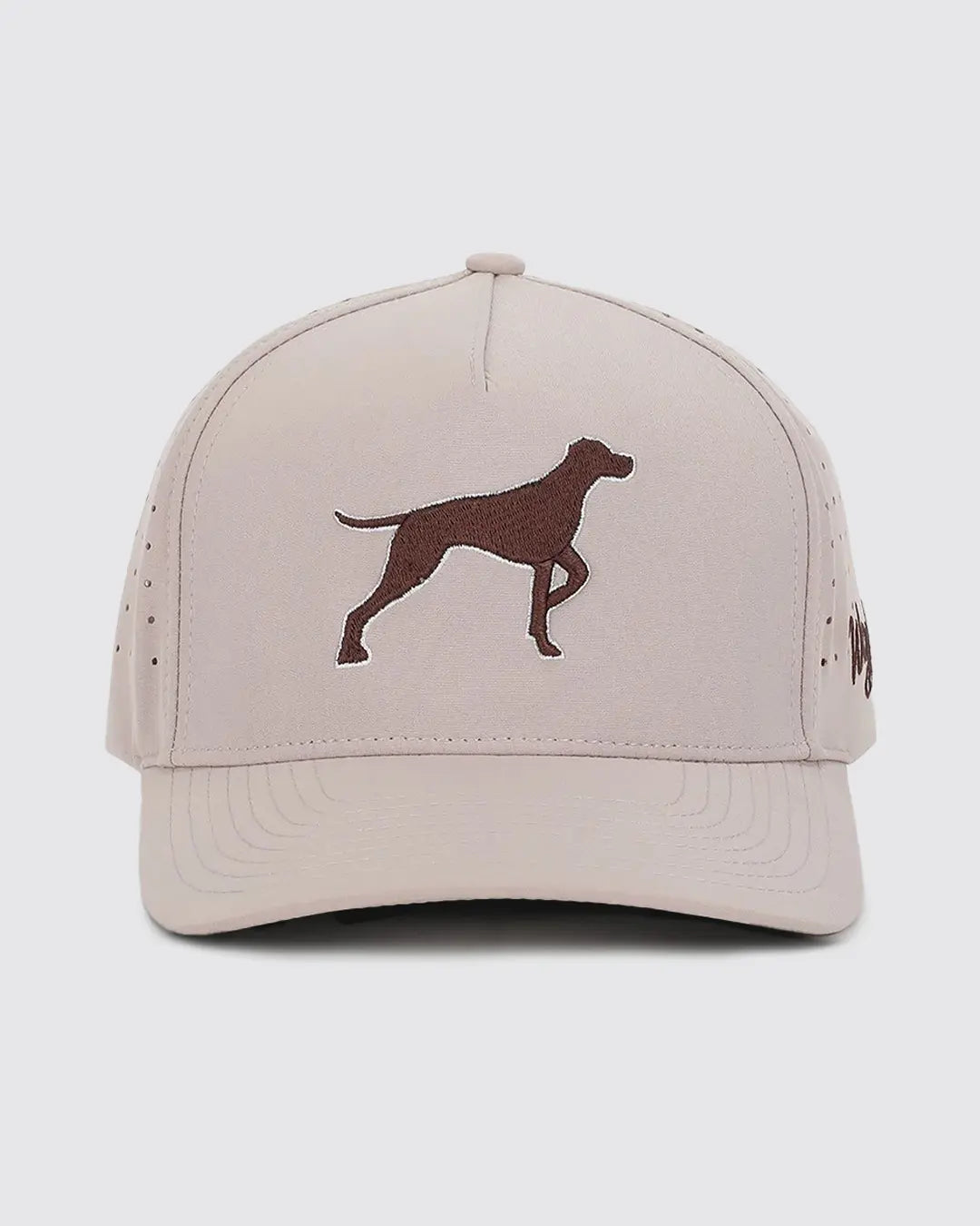 Bird Dog Adjustable Cap for Enhanced Comfort and Style