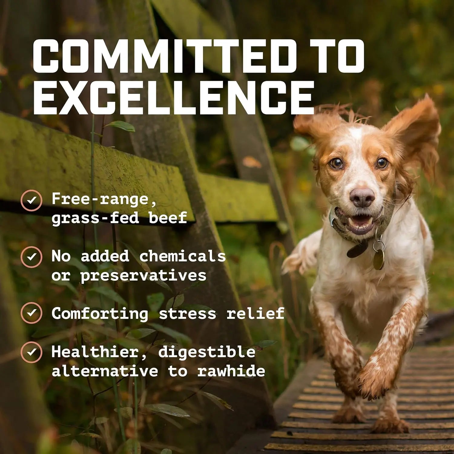 Premium All-Natural Beef Cheek Strips Dog Treats (1 LB) - Free-Range, Grass-Fed Single-Ingredient Chews
