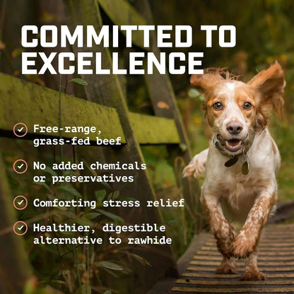 Premium All-Natural Beef Cheek Strips Dog Treats (1 LB) - Free-Range, Grass-Fed Single-Ingredient Chews