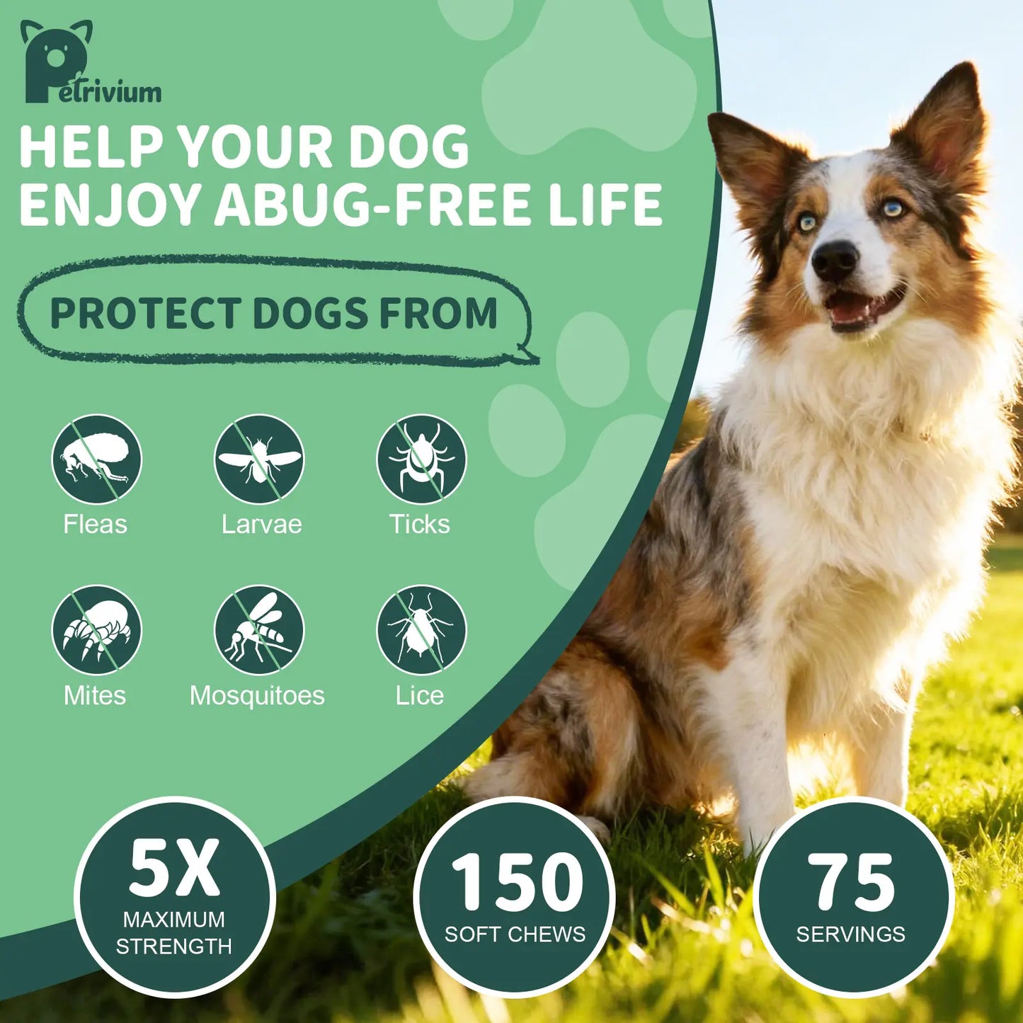 150 Count Petrivium Dog Flea and Tick Support Soft Chews - Natural Oral Supplement for All Breeds and Sizes - Chicken Flavor
